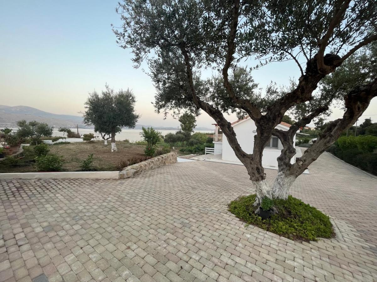 Apollonides Seafront Villa1 Aoede 릭수리 외부 사진