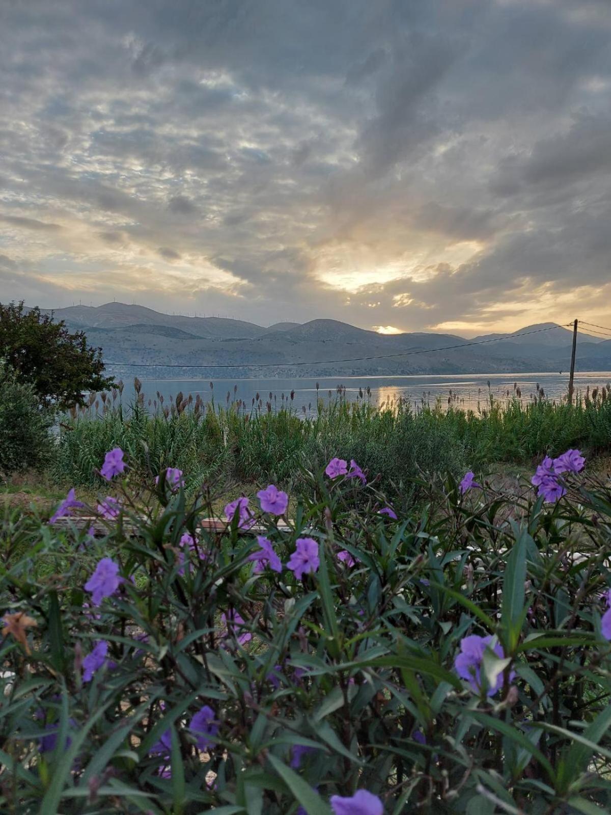 Apollonides Seafront Villa1 Aoede 릭수리 외부 사진